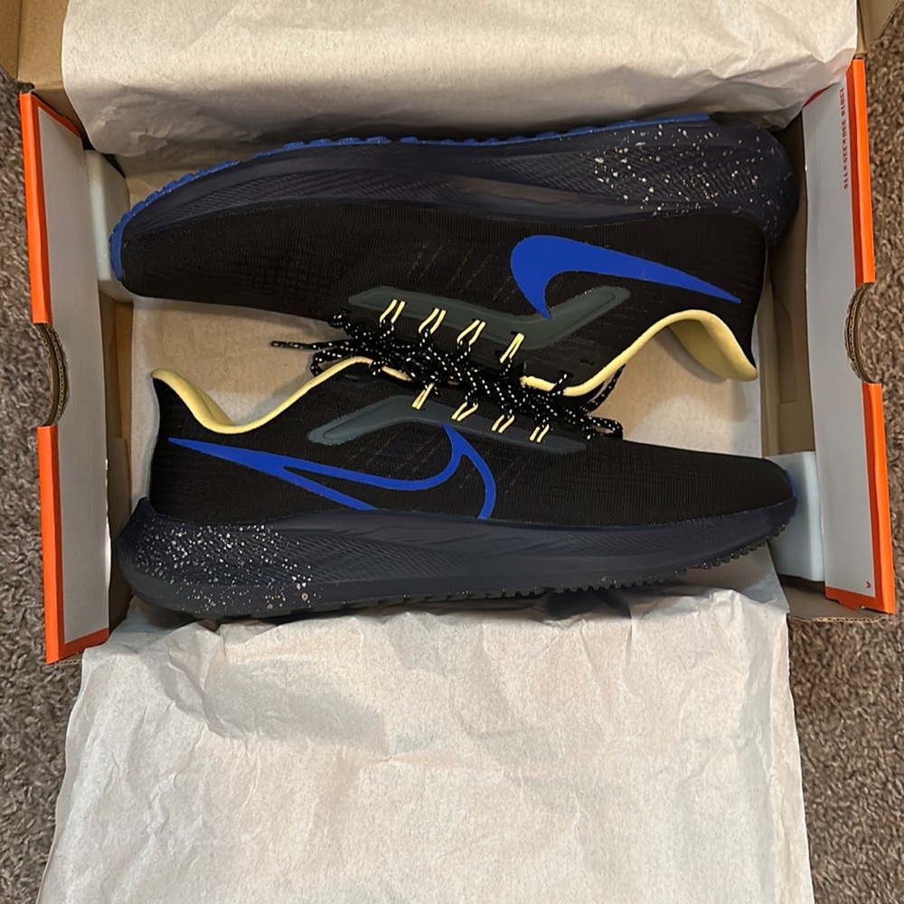 Nike air zoom Pegasus 39